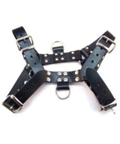 Rouge Over the Head XLarge Harness