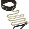 Spartacus Collar & Leash - Brown Leather w/Gold Accent Hardware