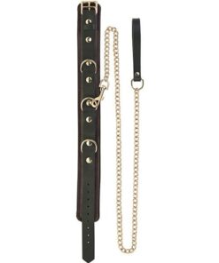 Spartacus Collar & Leash - Brown Leather w/Gold Accent Hardware