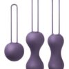 Je Joue Ami Progressive Pelvic Weights - Purple