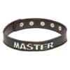 XPlay Talk Dirty to Me Collar - Master