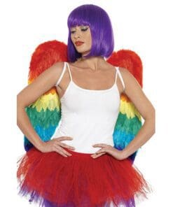 Rainbow Large Feather Wings