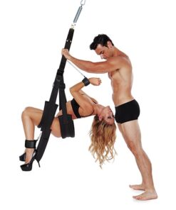 WhipSmart Bondage Pleasure Swing - Black