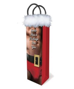 Santa Has A Package Gift Bag