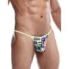 Male Basics Sinful Hipster Wow T Thong G-String Print LG