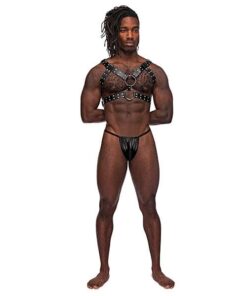 Leather Gemini Double Ring Harness Black O/S