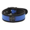 Plesur Neoprene Puppy Collar - Blue