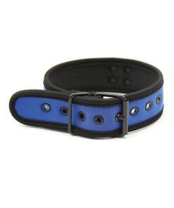 Plesur Neoprene Puppy Collar - Blue