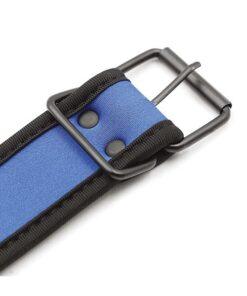 Plesur Neoprene Puppy Collar - Blue