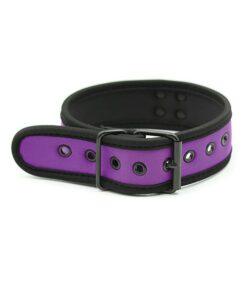 Plesur Neoprene Puppy Collar - Purple