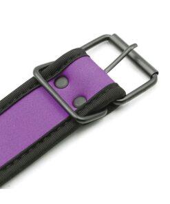 Plesur Neoprene Puppy Collar - Purple